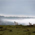 10-Kenia-Masai-Mara-6.jpg